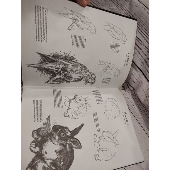 Drawing Pets Learn to Draw Step by Step by Tavonatti, Mia How To Book - Picture 4 of 5
